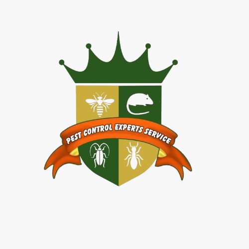 whatsapp image 2025 10 22 at 11.05.01 am